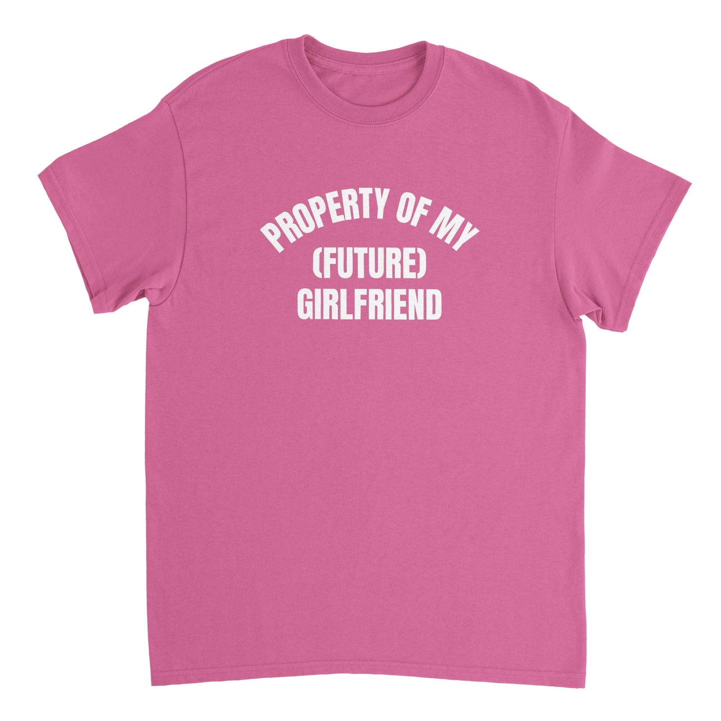 PROPERTY OF MY (FUTURE) GIRLFRIEND T-Shirt